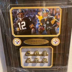 Pittsburgh Steelers collage ring display